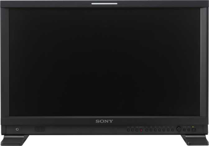 Sony BVMF170 Image
